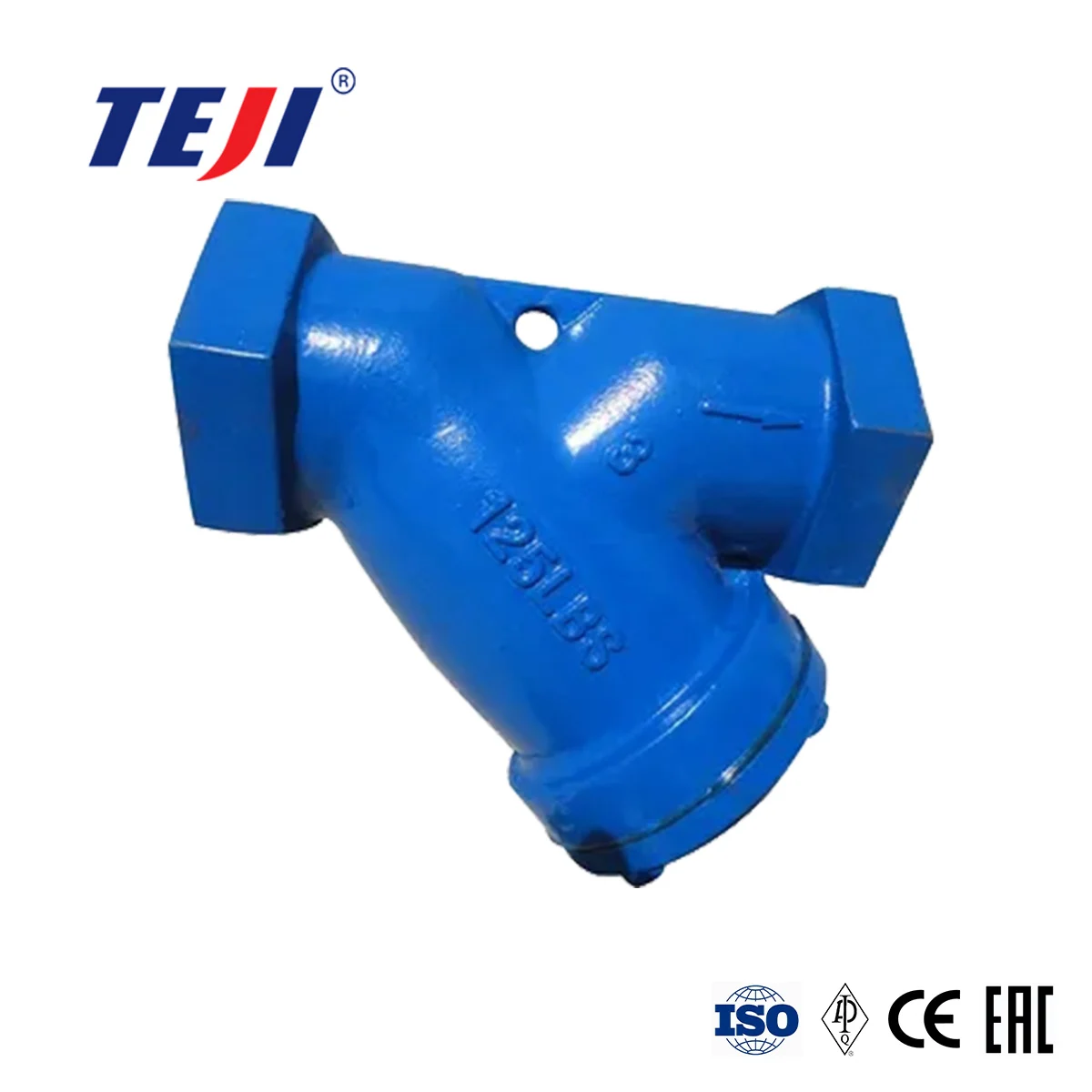 DIN Cast Y Strainer