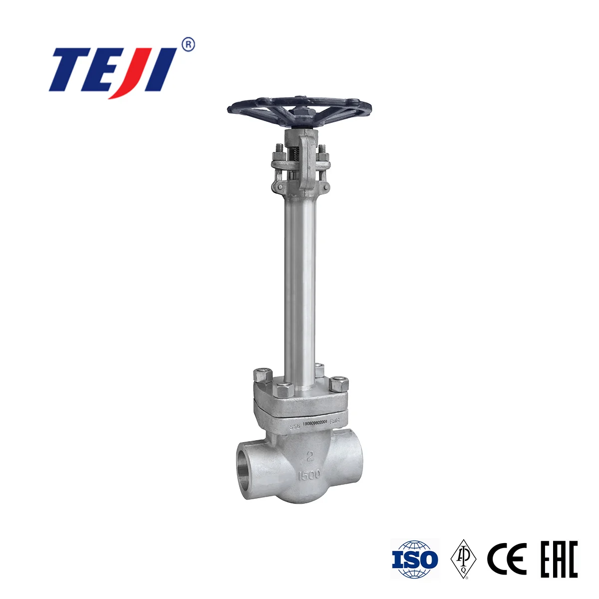 Forged Cryogenic Gate Valve