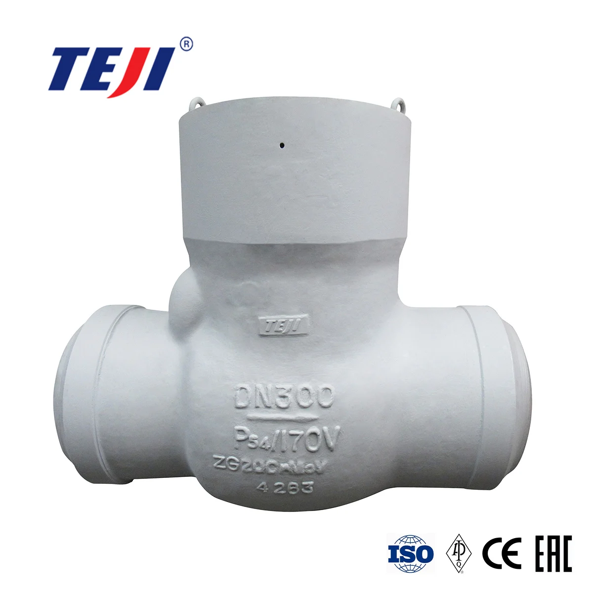 High Pressure Check Valve